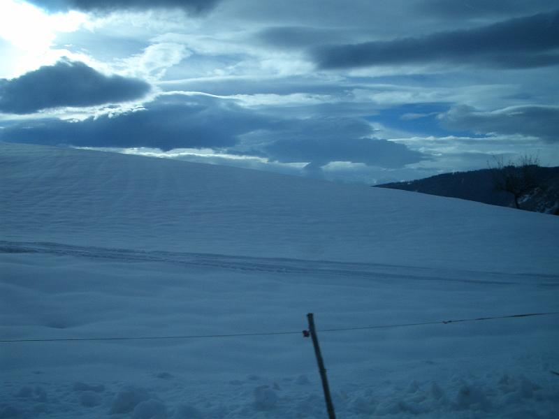 SVL_2007_10_004_CIMG0025.JPG