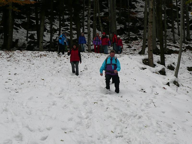 SVL_2007_10_620_P1010338.JPG