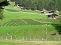 P1000594_DSCN3870