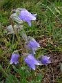 P1000594_DSCN4101