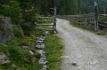 SVL_2008_08_0100_P1030630