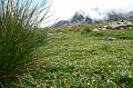 SVL_2008_08_0700_P1030738