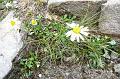 SVL_2008_08_0700_P1030739