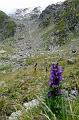 SVL_2008_08_0700_P1030747