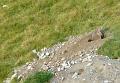SVL_2008_08_1000_P1030823