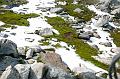 SVL_2008_08_1000_P1030833