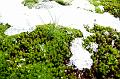 SVL_2008_08_1020_P1030852