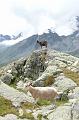 SVL_2008_08_1020_P1030858