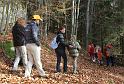 SVL_2008_10_00010