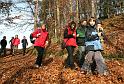SVL_2008_10_00011