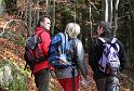 SVL_2008_10_00013