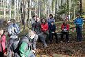 SVL_2008_10_00014