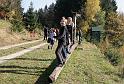 SVL_2008_10_00026