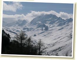 SVL_2008_03_0110_P1020704