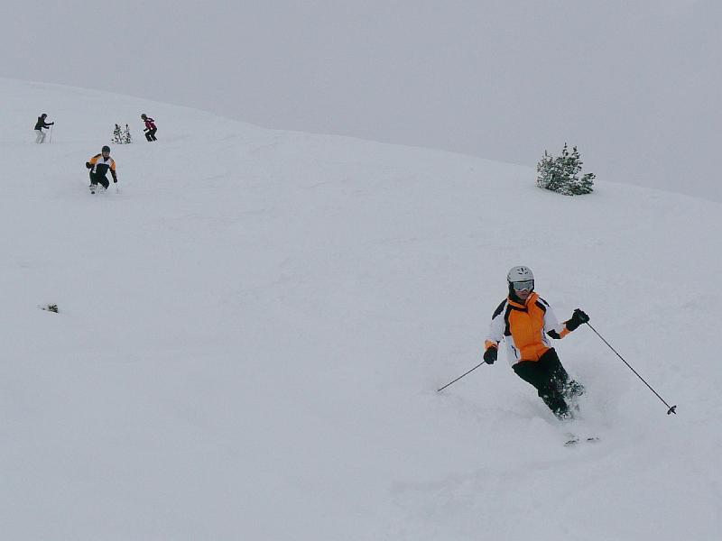 SVL_2008_01_0100_P1020174.JPG