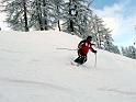 SVL_2008_01_0100_P1020239_k