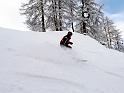 SVL_2008_01_0100_P1020240_k