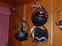 SVL_2008_01_0100_P1020254