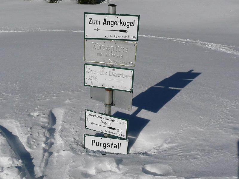 SVL_2008_01a_0010_P1020373.JPG
