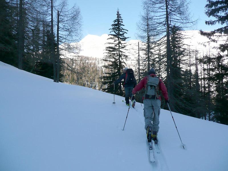 SVL_2008_01a_0100_P1020358.JPG