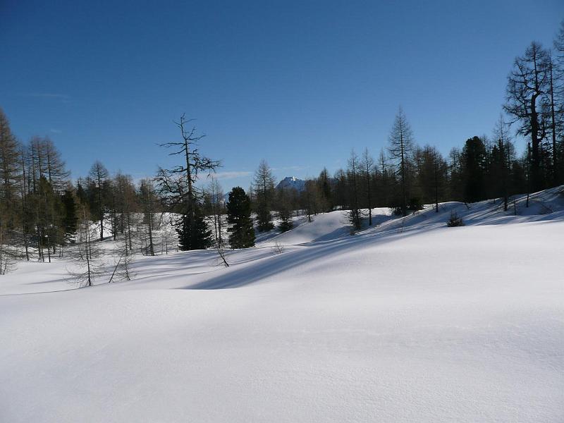 SVL_2008_01a_0100_P1020374.JPG