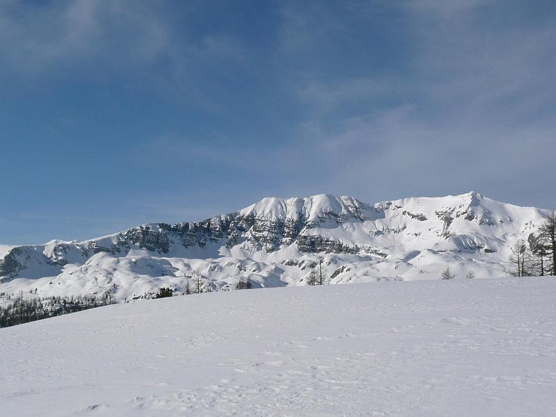 SVL_2008_01a_0100_P1020376.JPG