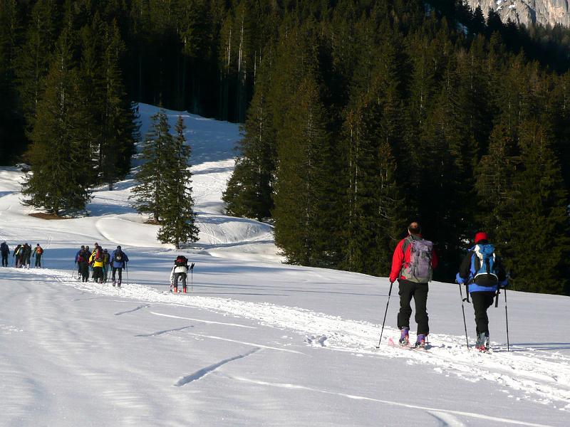 SVL_2008_01a_0100_P1020410.JPG