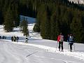 SVL_2008_01a_0100_P1020410