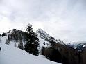 SVL_2008_01a_0030_P1020277