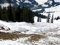 SVL_2008_01a_0100_P1020294