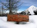 SVL_2008_01a_0120_P1020325