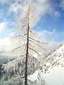 SVL_2008_12_100_CIMG4341
