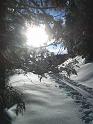 SVL_2008_12_900_CIMG4373